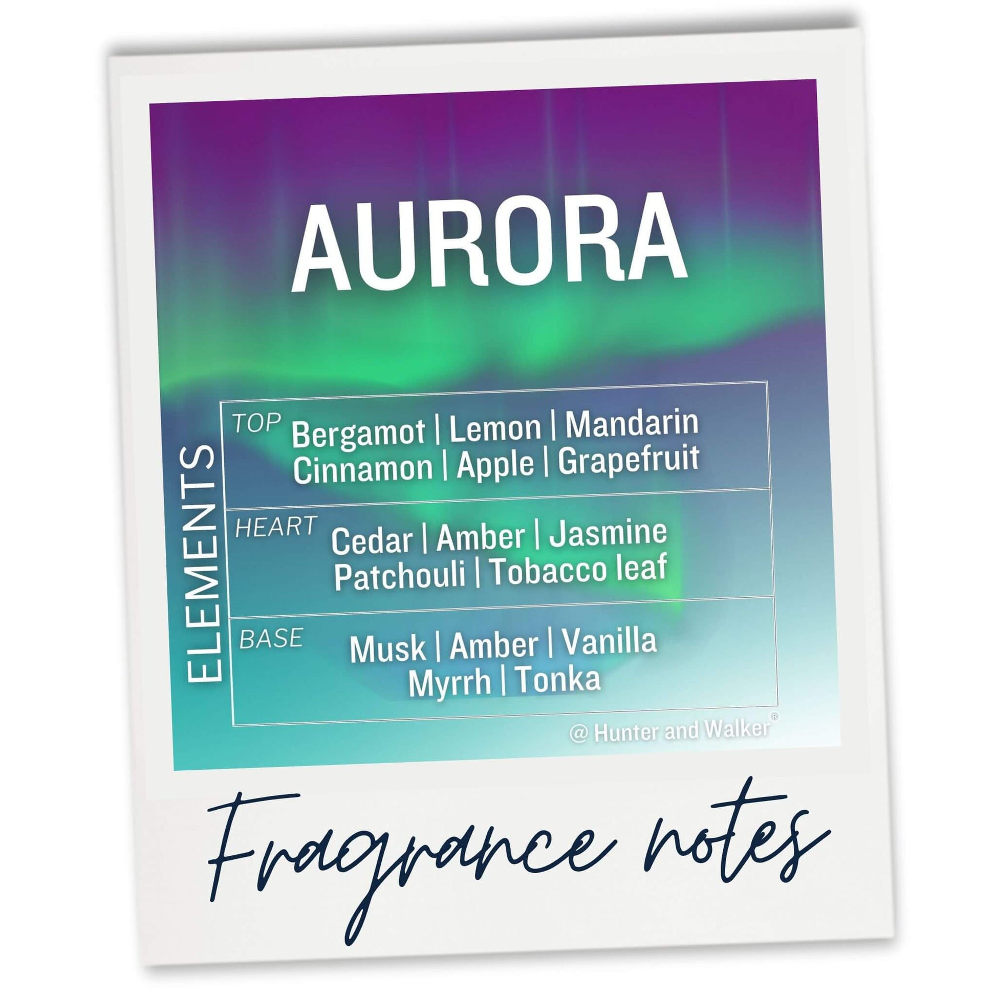 The fragrance notes for our Aurora luxury wax melt.