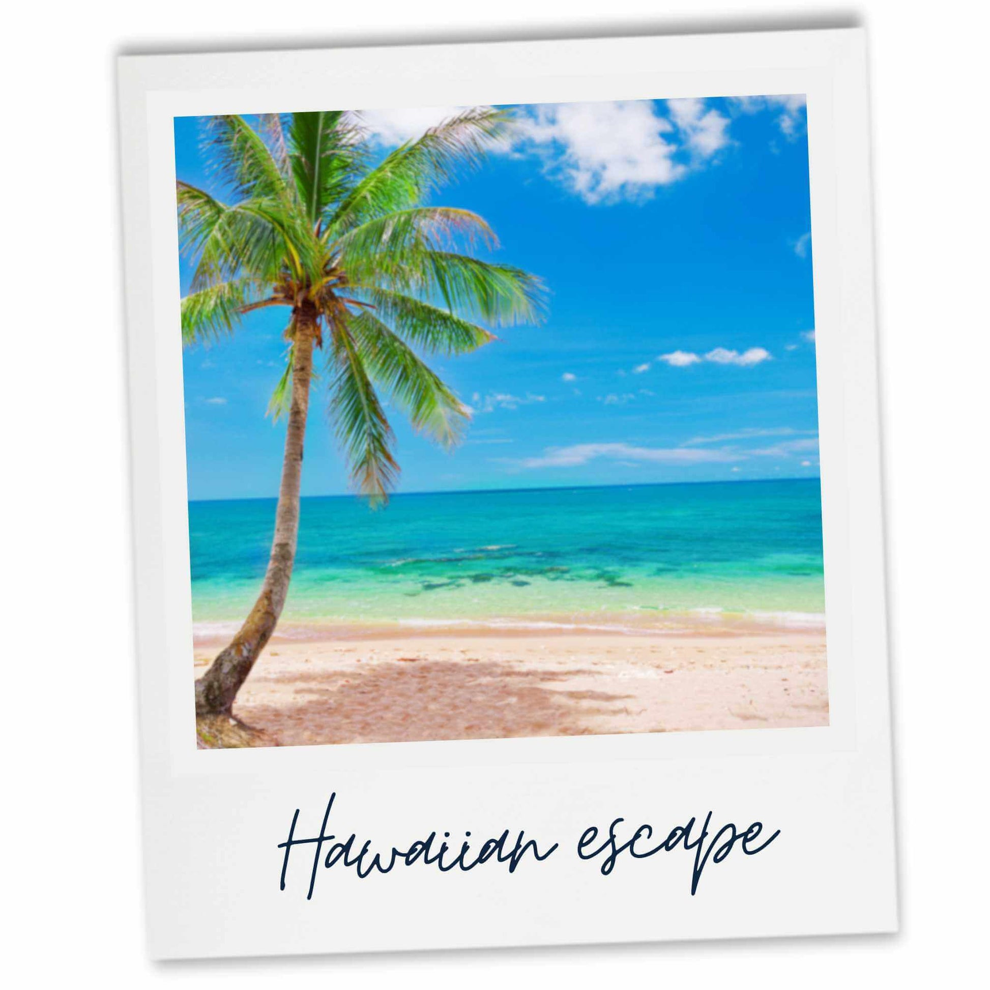 Hawaiian tropical beach