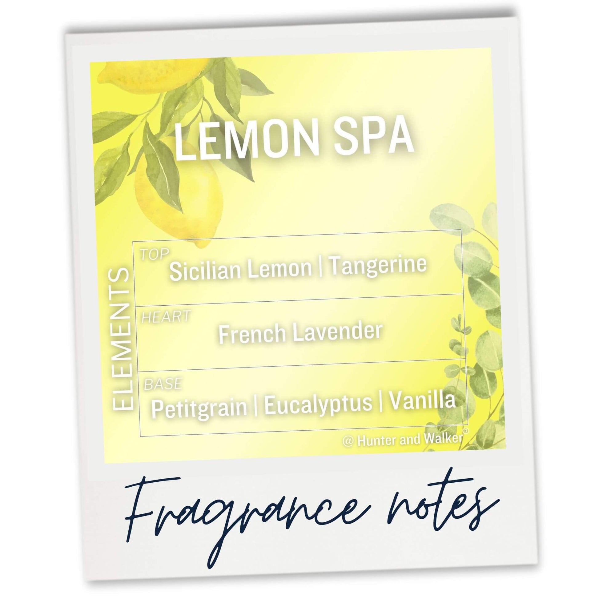 Lemon Spa Fragrance Notes