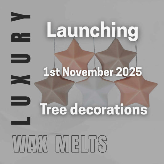 Mulled Wine Star Christmas Decorations