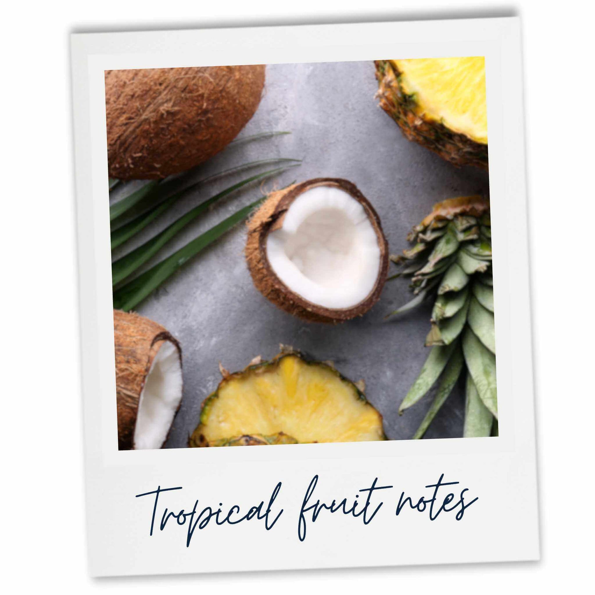 Pineapple and Coconuts