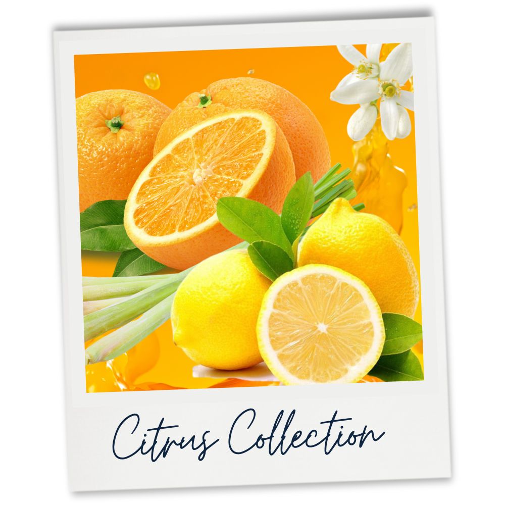 Oranges and Lemons within our Citrus Wax Melts Collection