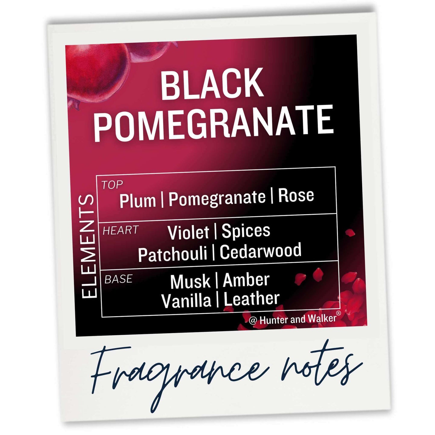 Black Pomegranate Fragrance Notes