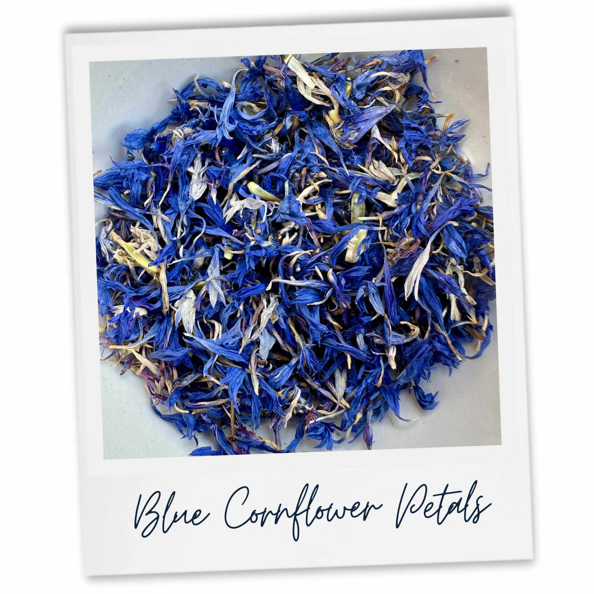Blue Cornflower Petals used in our wax melts