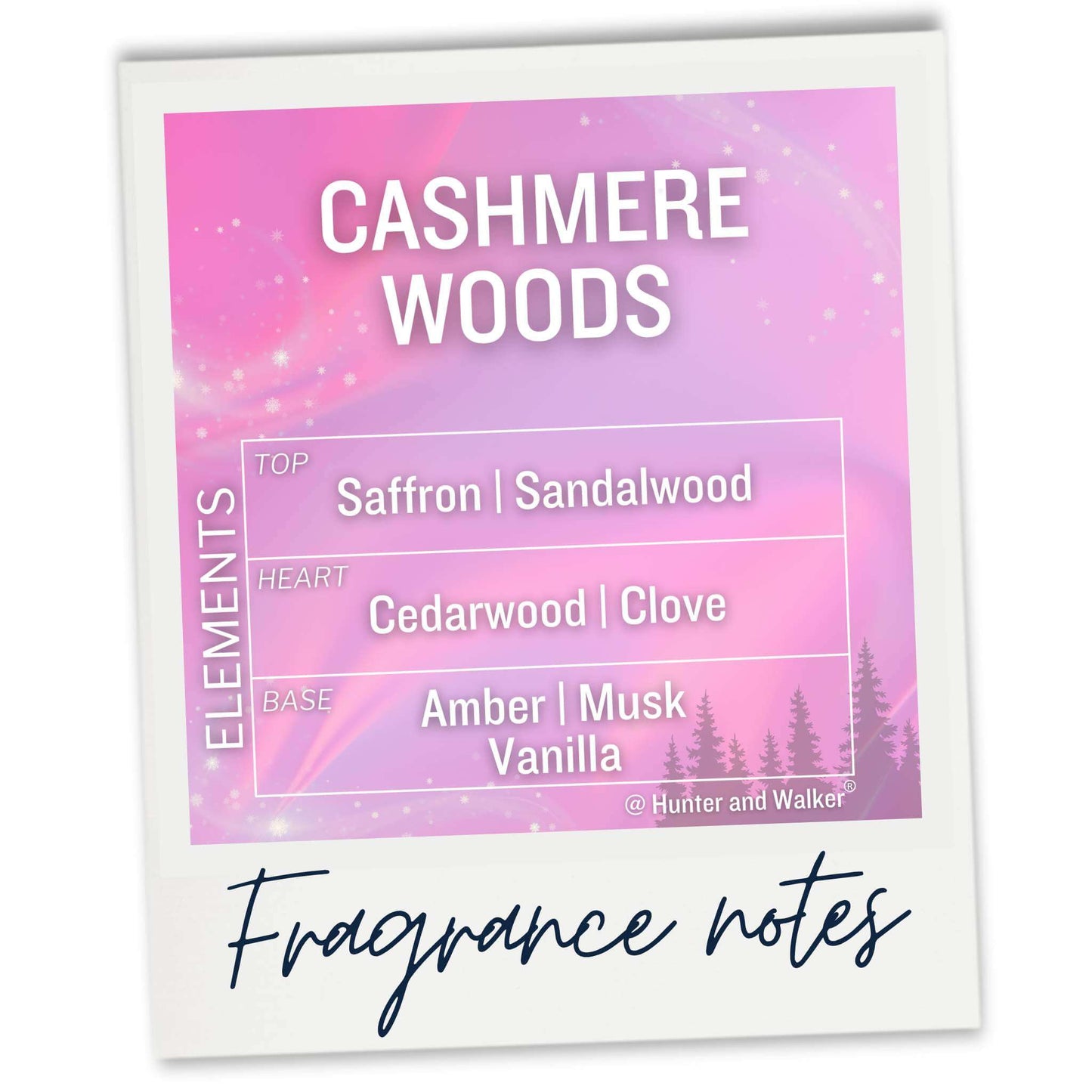 Cashmere Woods Fragrance Notes