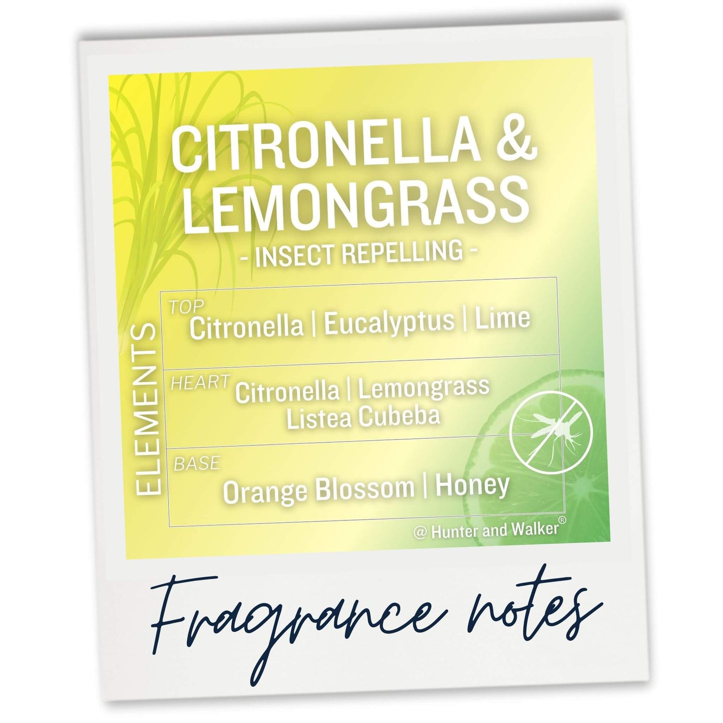 Natural Citronella and Lemongrass insect repelling luxury wax melt fragrance notes