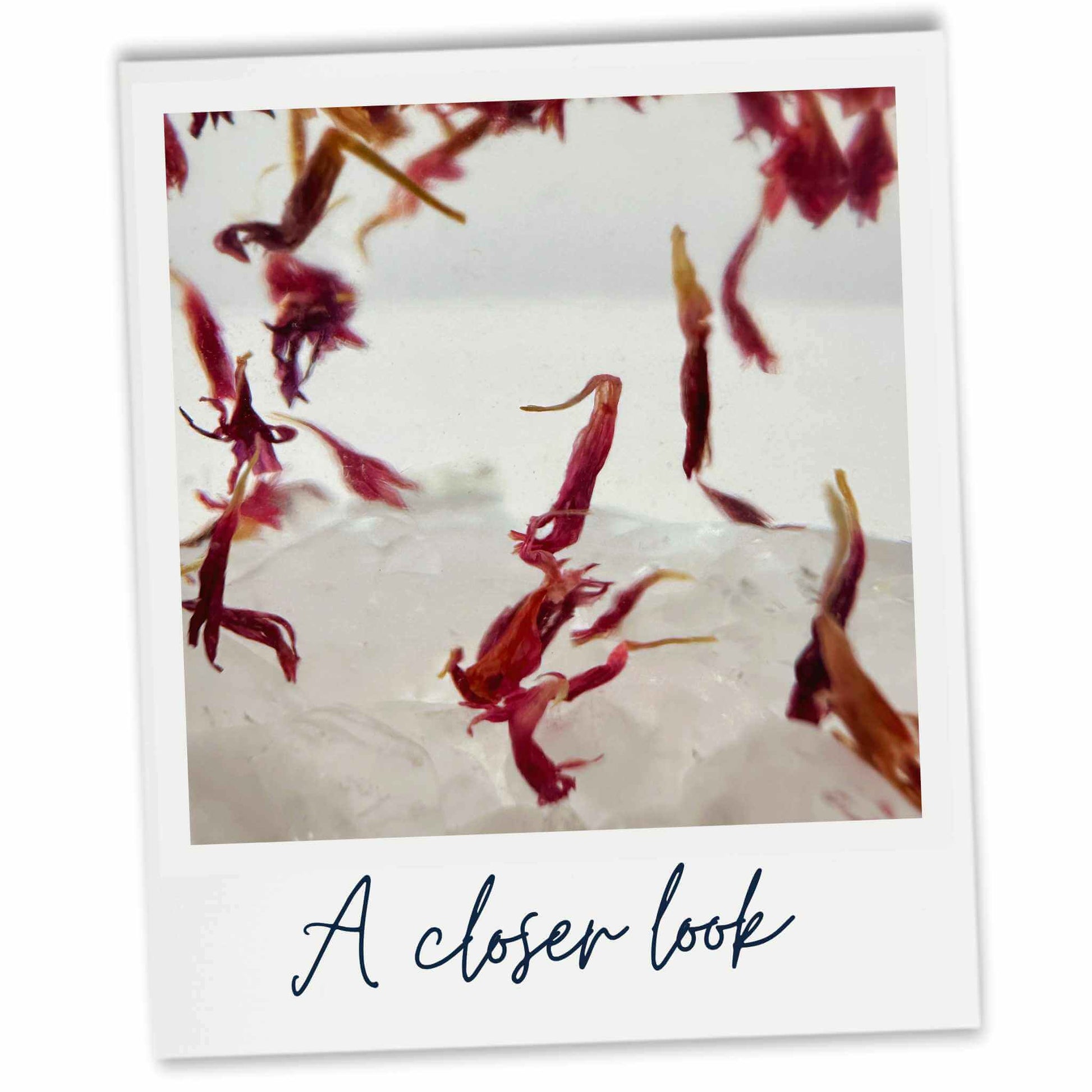 Close-up of cornflower petals and quartz crystal decoration inside the Lemon scented reed diffuser bottle