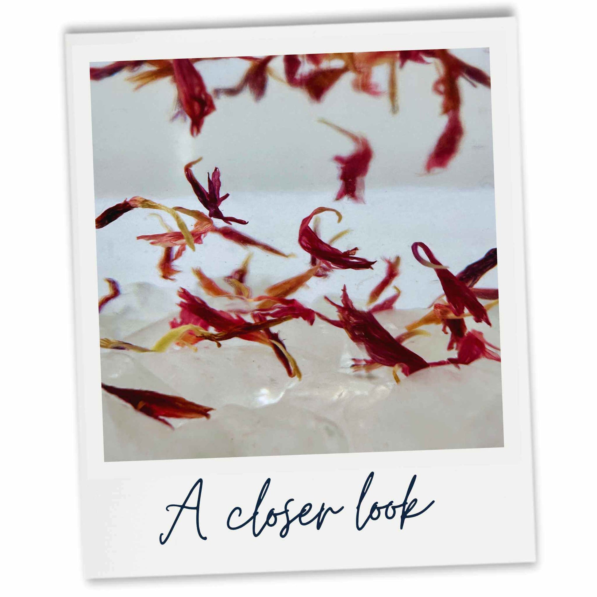 Close-up of cornflower petals and quartz crystal decoration inside a reed diffuser bottle