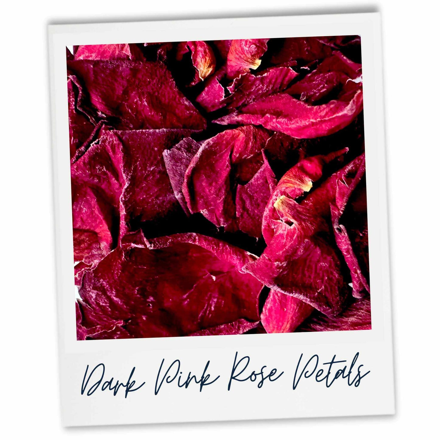 A square product photo showing dark pink rose petals filling the frame, with a white border and the text 'Dark Pink Rose Petals' below. 
