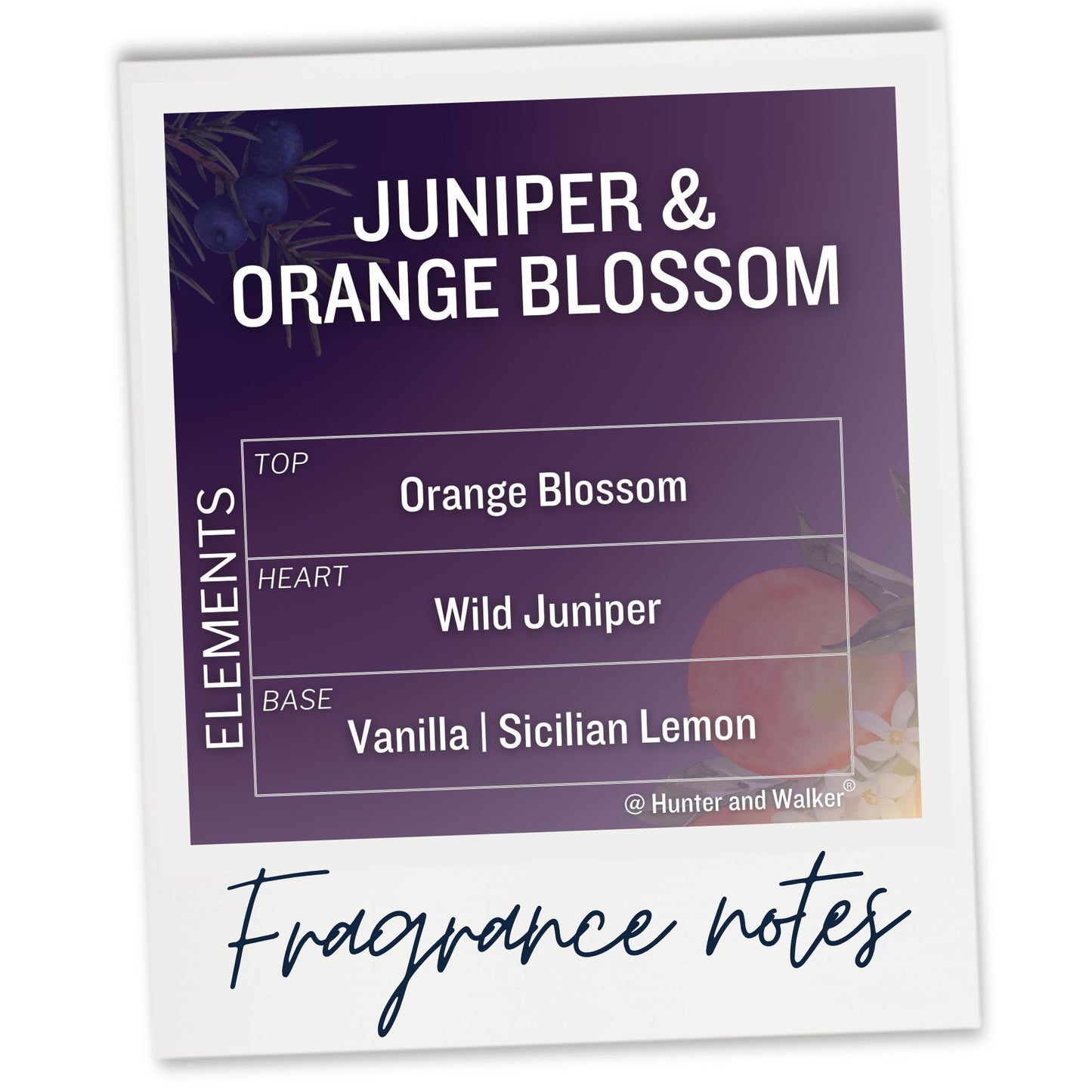 Juniper and Orange Blossom Fragrance notes for our luxury car air freshener