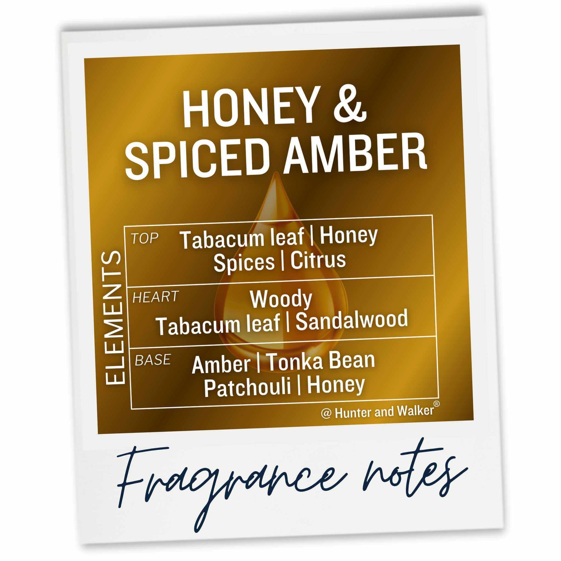 Fragrance notes card for 'Honey & Spiced Amber'