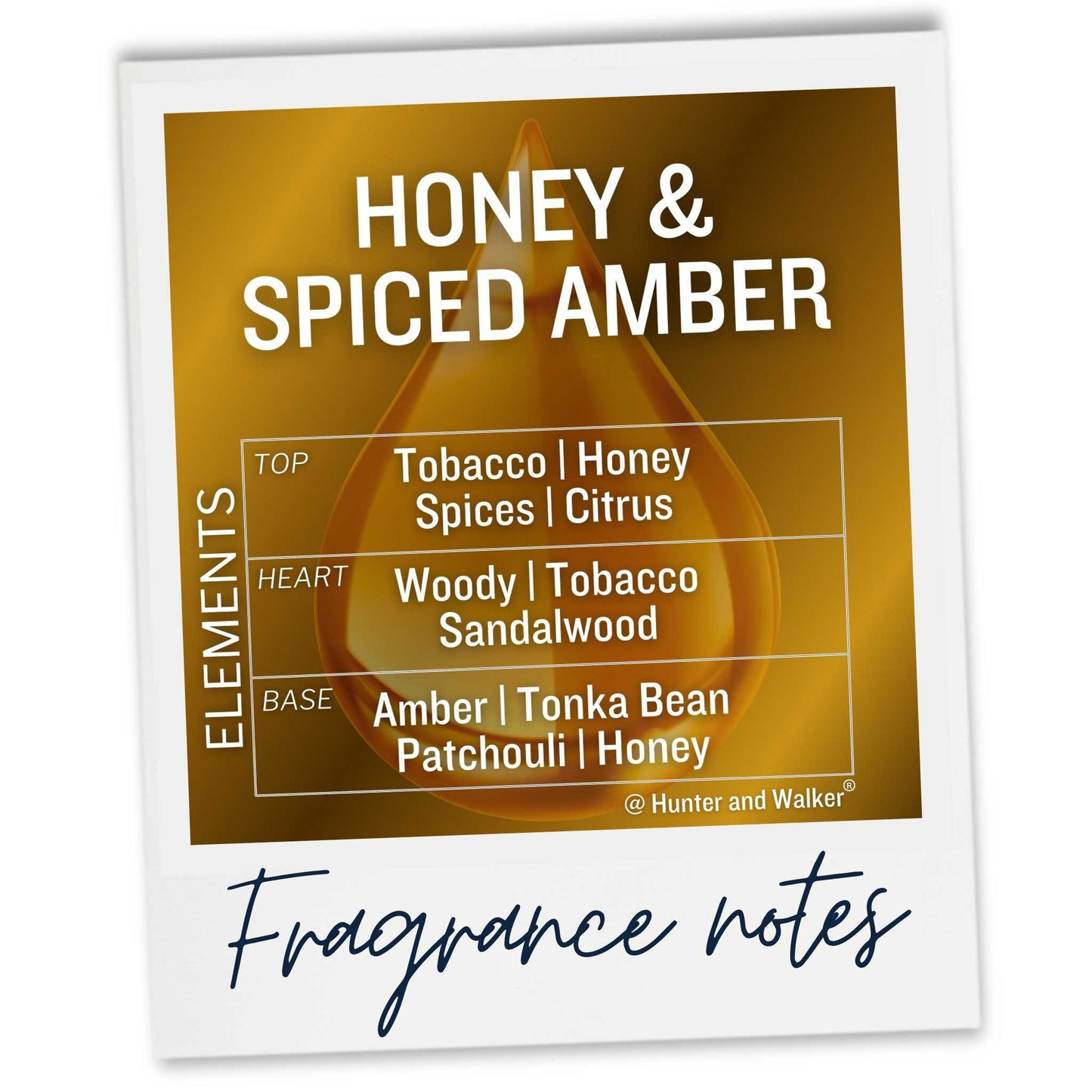 Honey and Spiced Amber wax melt sample fragrance notes