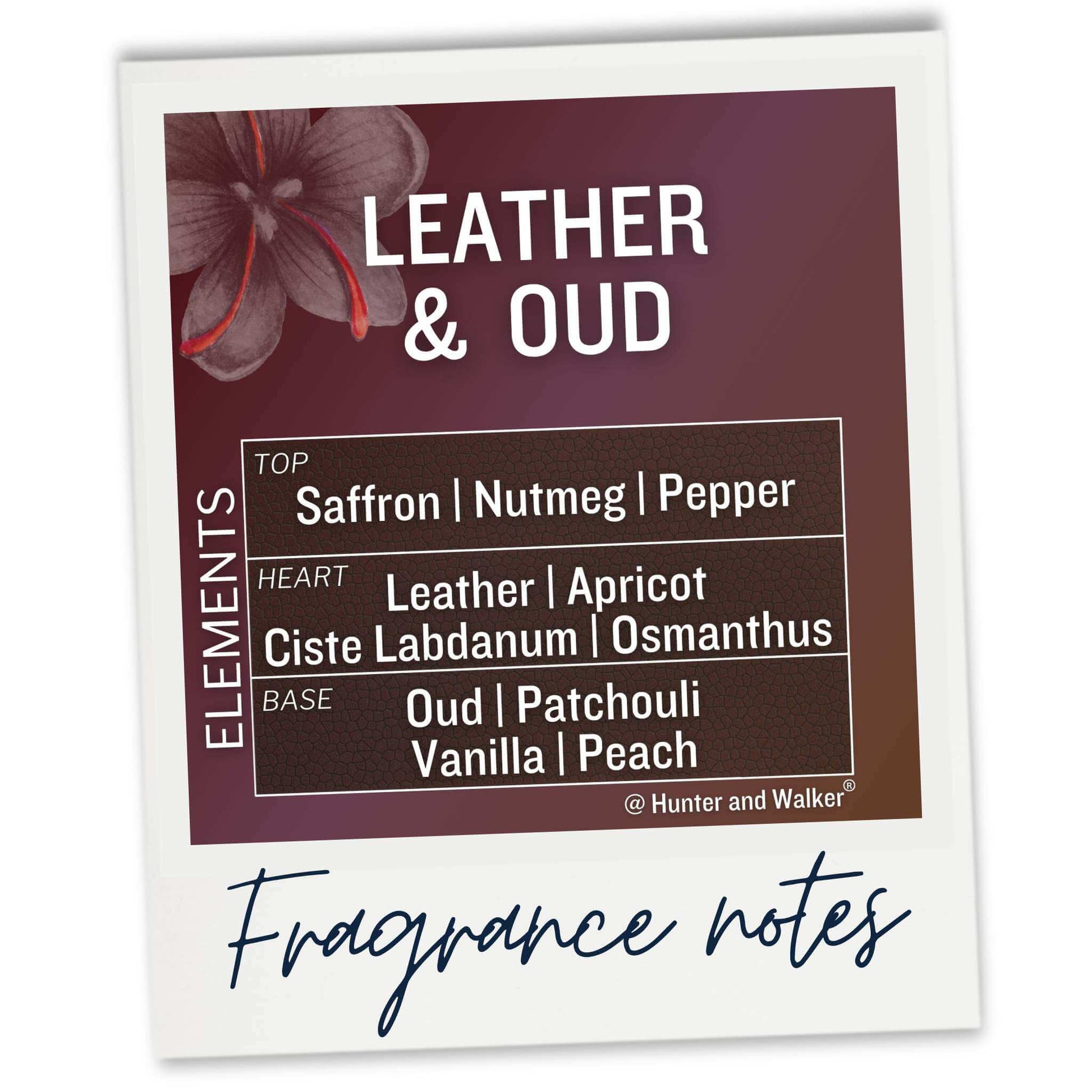 Leather and Oud fragrance notes