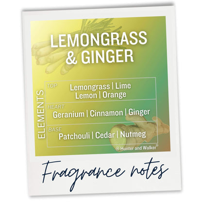 Lemongrass Freshener fragrance notes