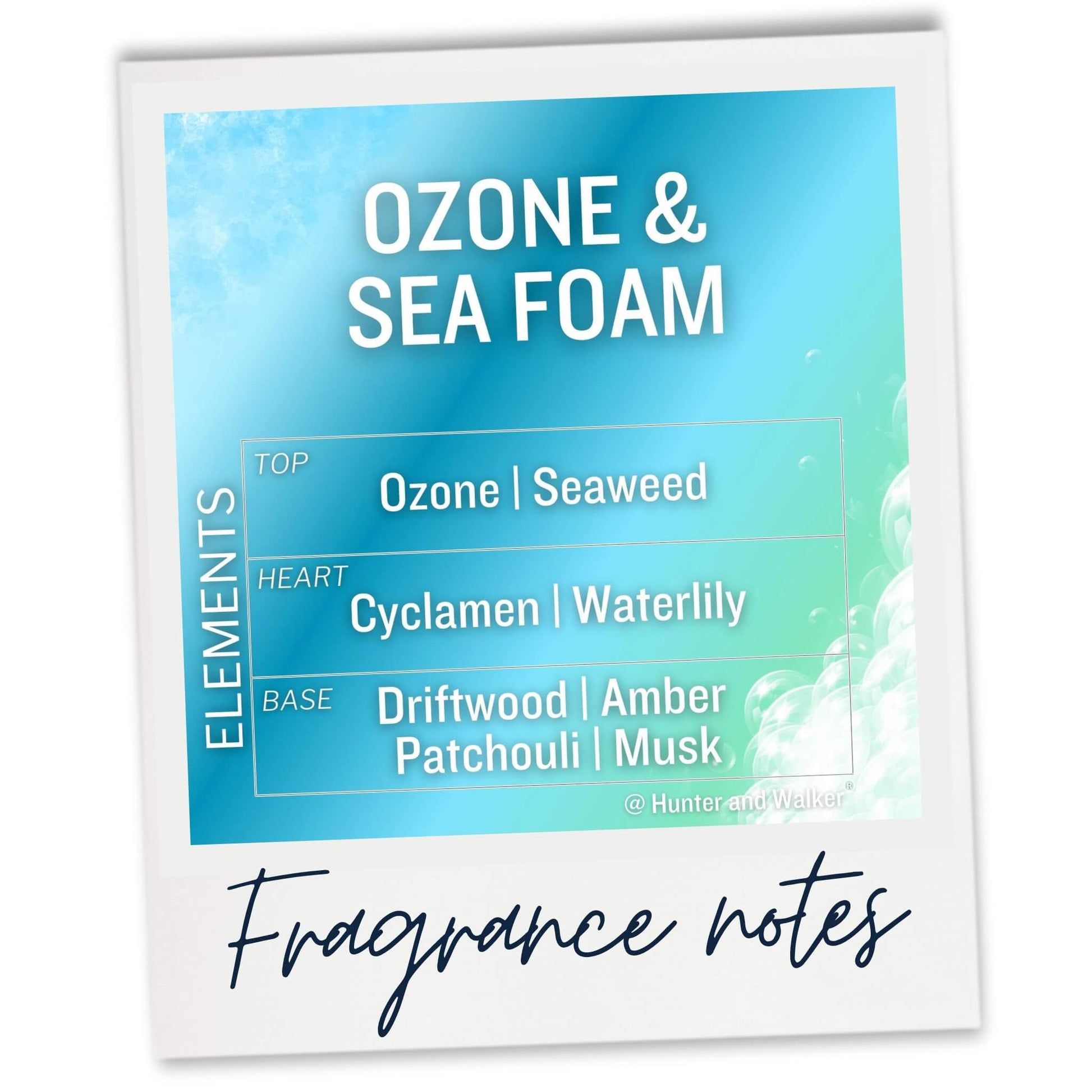 The fragrance notes of Ozone and Seafoam wax melt sample are a calming marine scent opens with a refreshing ozonic accord and delicate powdery notes of Cyclamen and Water-Lily.  All floating on a sparkling sea salt-encrusted base of Driftwood, Amber, Patchouli and Musk.