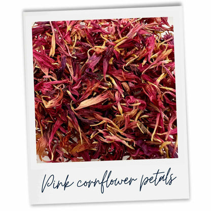 Pink cornflower petals with text 'Pink cornflower petals' on a white background
