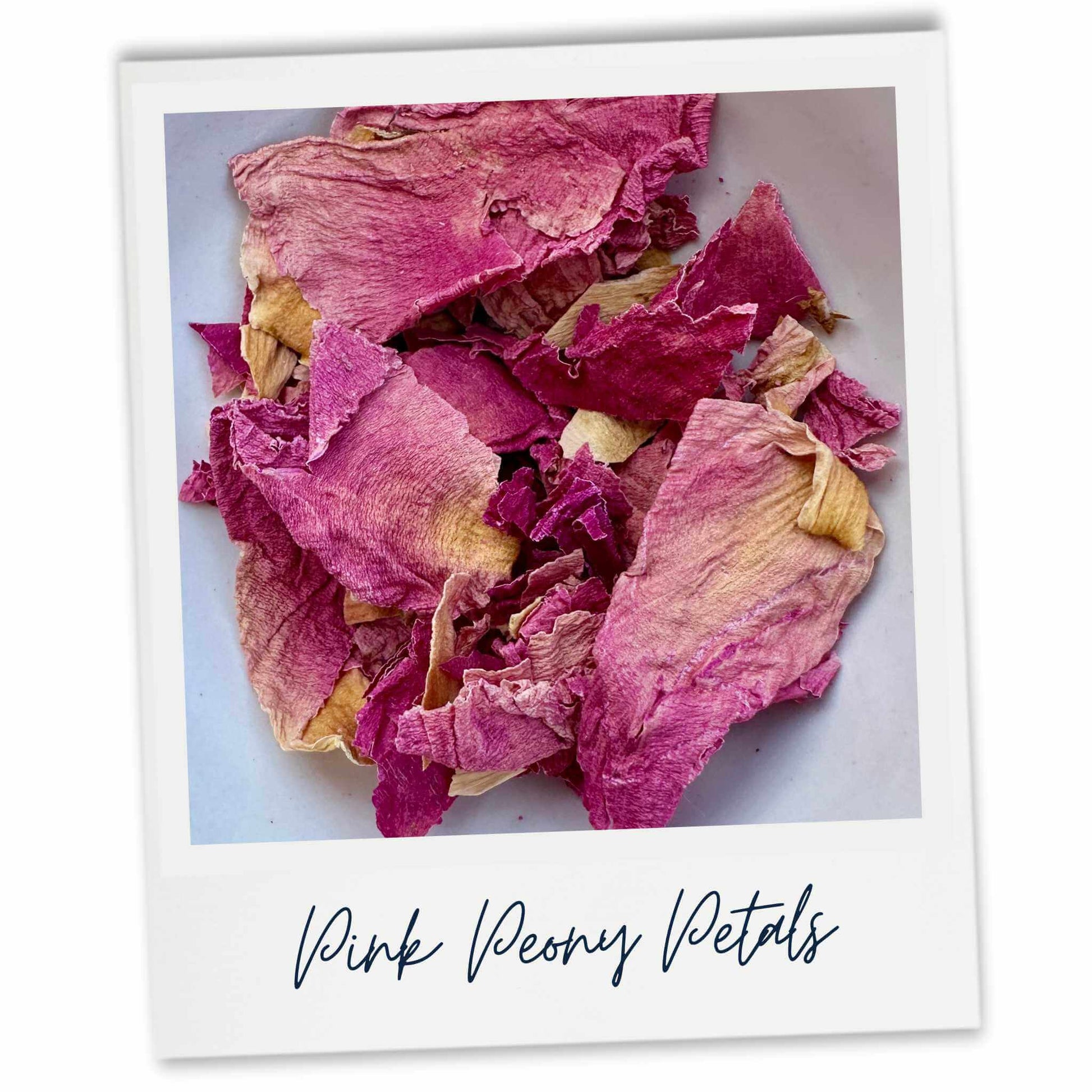 Pink Peony Petals used in H&W wax melts