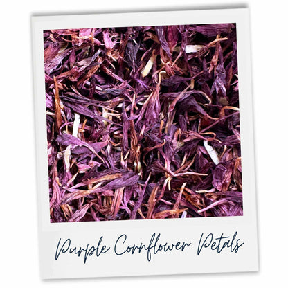 Purple cornflower petals with text 'Purple Cornflower Petals' on a white background