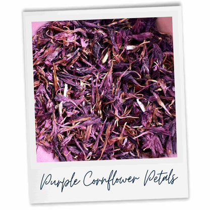Purple cornflower petals with text 'Purple Cornflower Petals' on a white background