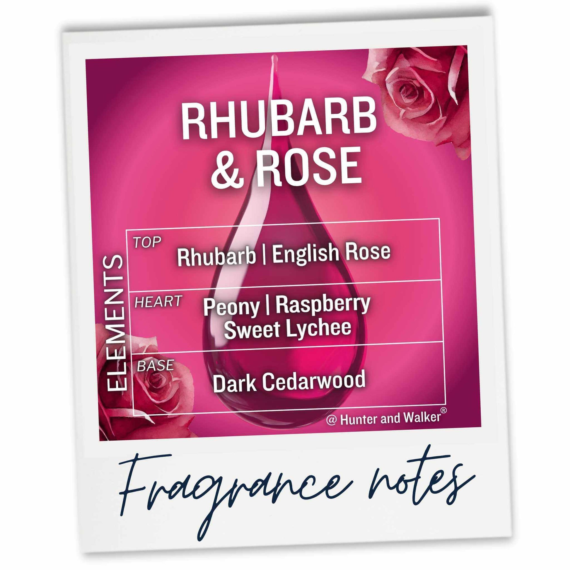 A fragrance notes card for 'Rhubarb & Rose' by Hunter and Walker, showing a pink graphic with rose imagery and a central droplet, with text listing top, heart, and base notes. The card is displayed on a white background with a blue handwritten 'Fragrance notes' signature underneath.