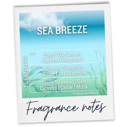 Sea Breeze Fragrance Notes Polaroid