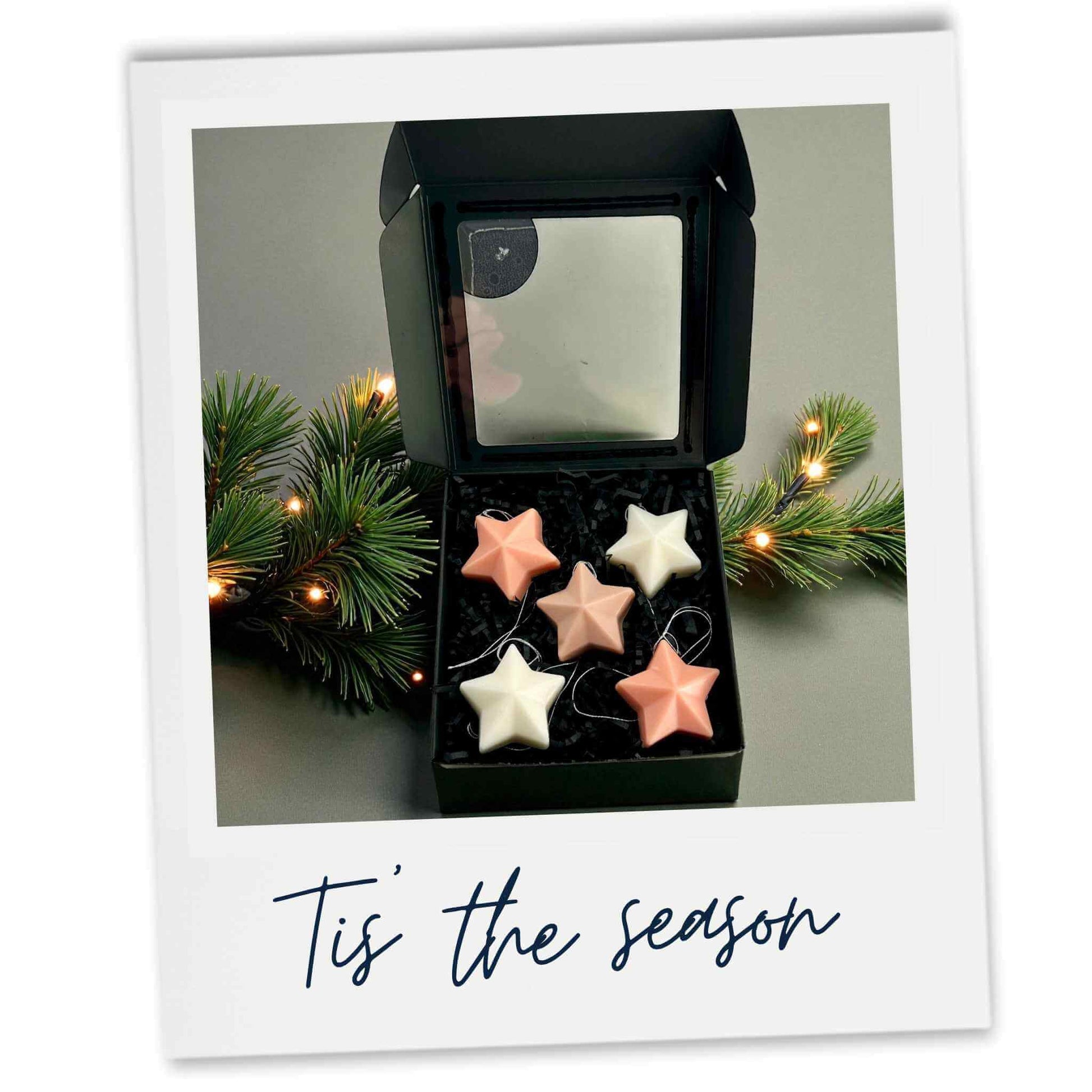 Star wax melts in black box with lid open showing how they look against a fir pine branch and light green background