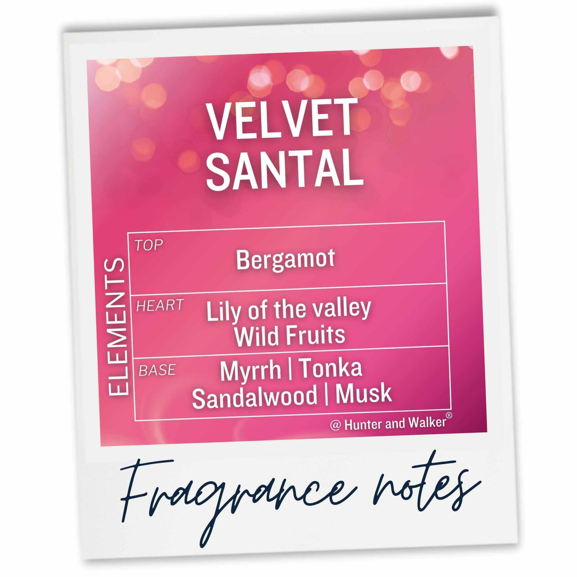 Velvet Santal Fragrance Notes